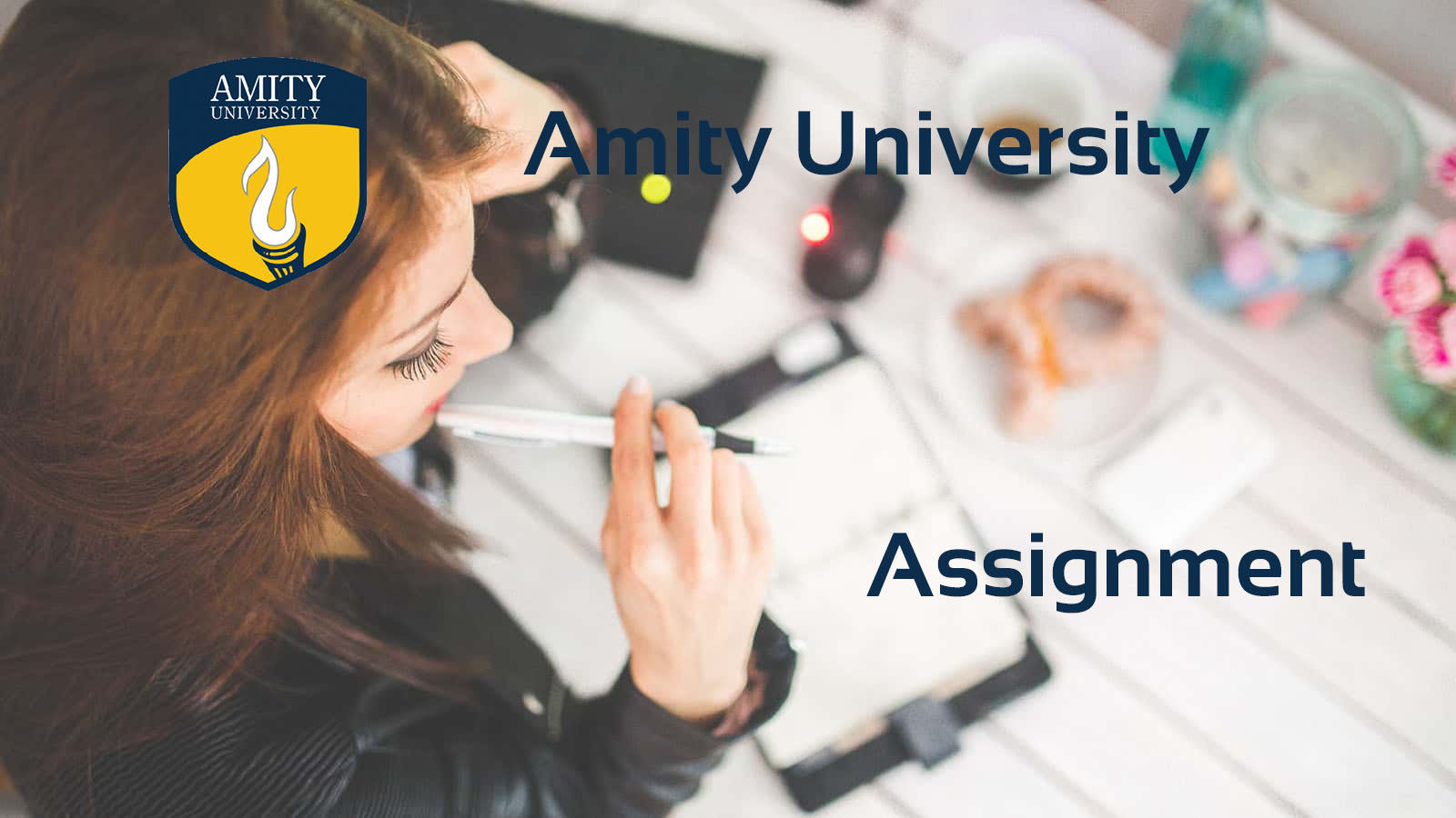 Amity B.com Solve Assignment For English Language